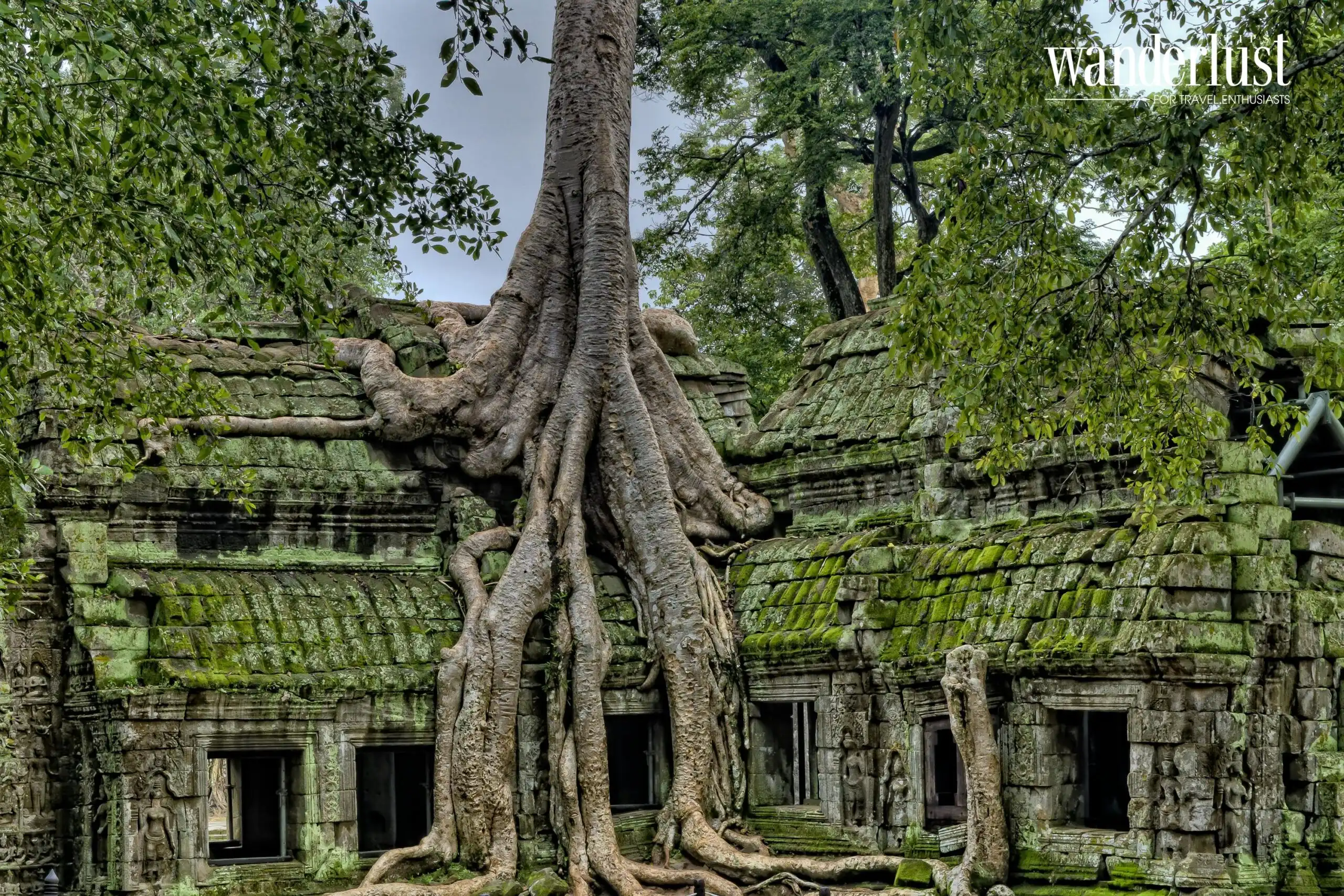 Campuchia: Vương quốc của các kỳ quan 6 Angkor Wat nổi tiếng với các rễ cây khổng lồ nghìn nắm quấn quanh các đền thờ của Campuchia