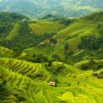 Hoang su phi