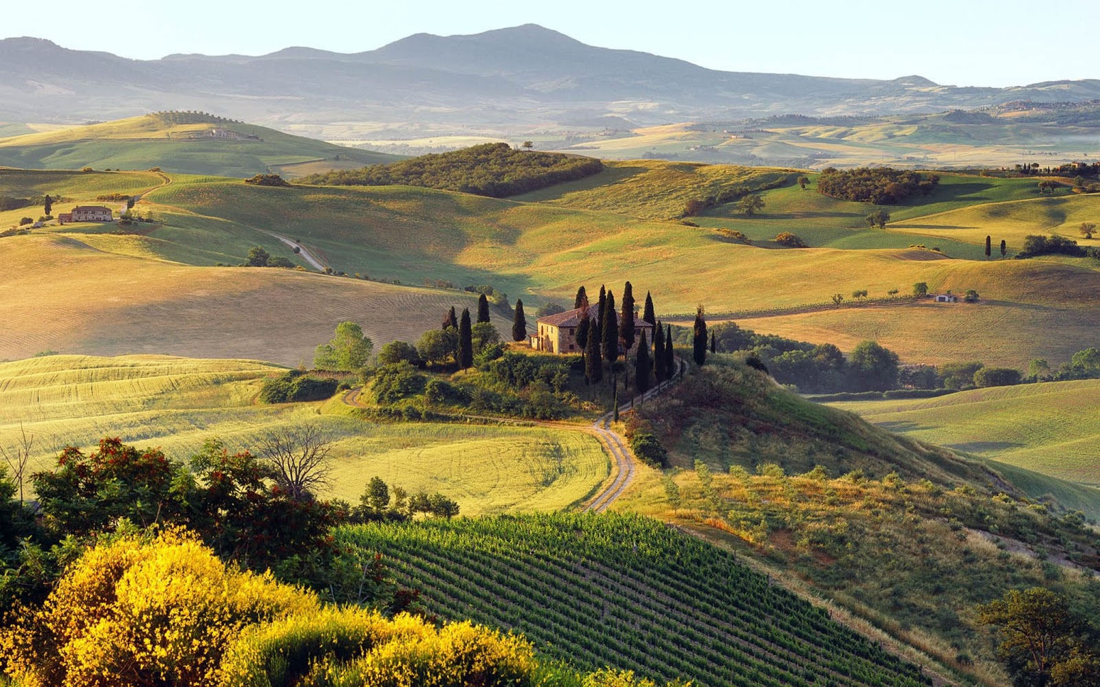 Tuscany: Vùng đất đẹp nhất Italy
