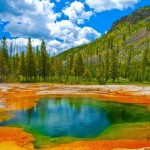 yellowstone