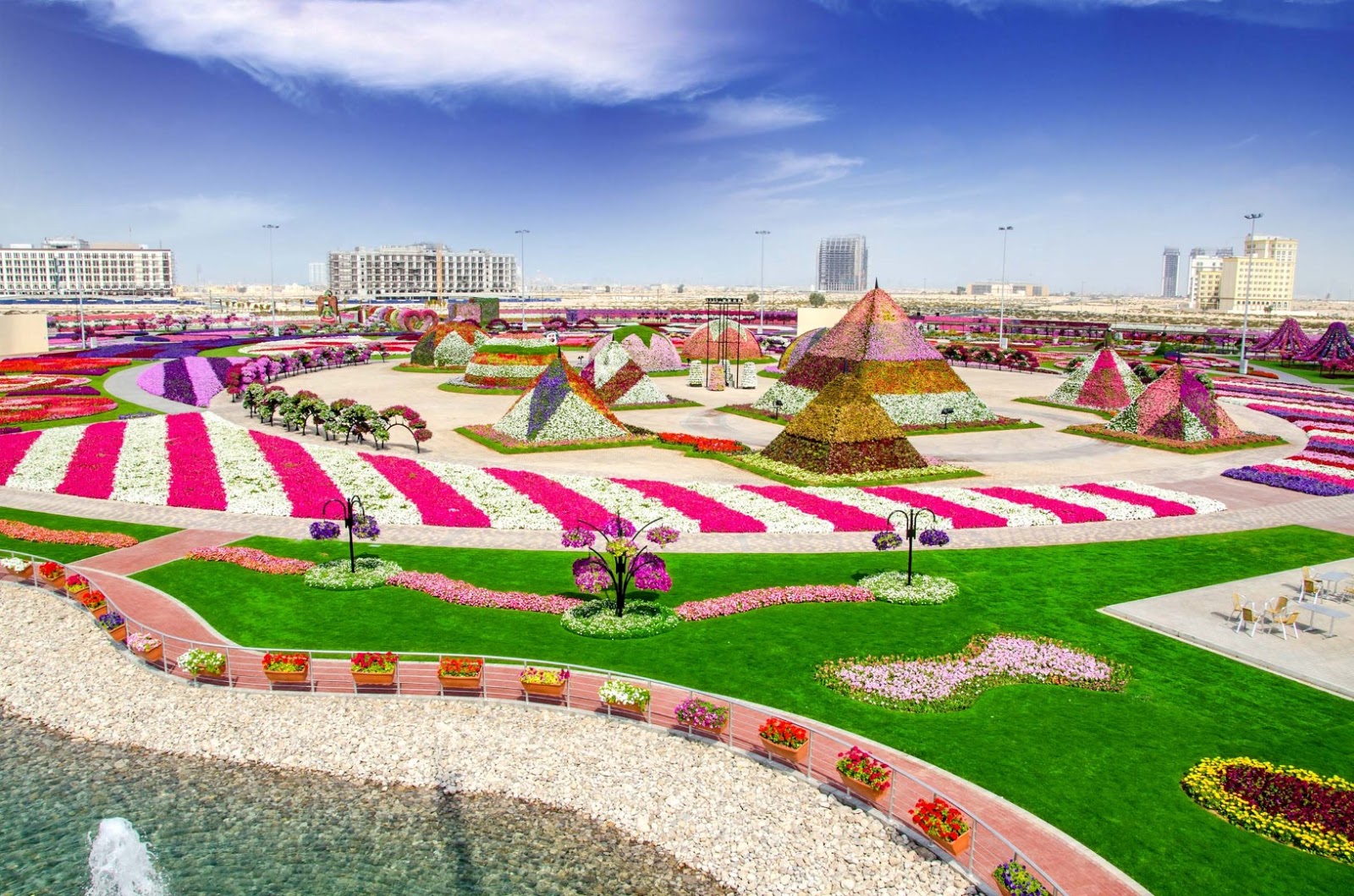 Dubai Miracle Garden 1
