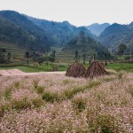 ha giang2