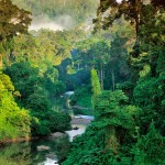 trai nghiem Borneo wanderlust