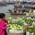 cho noi2