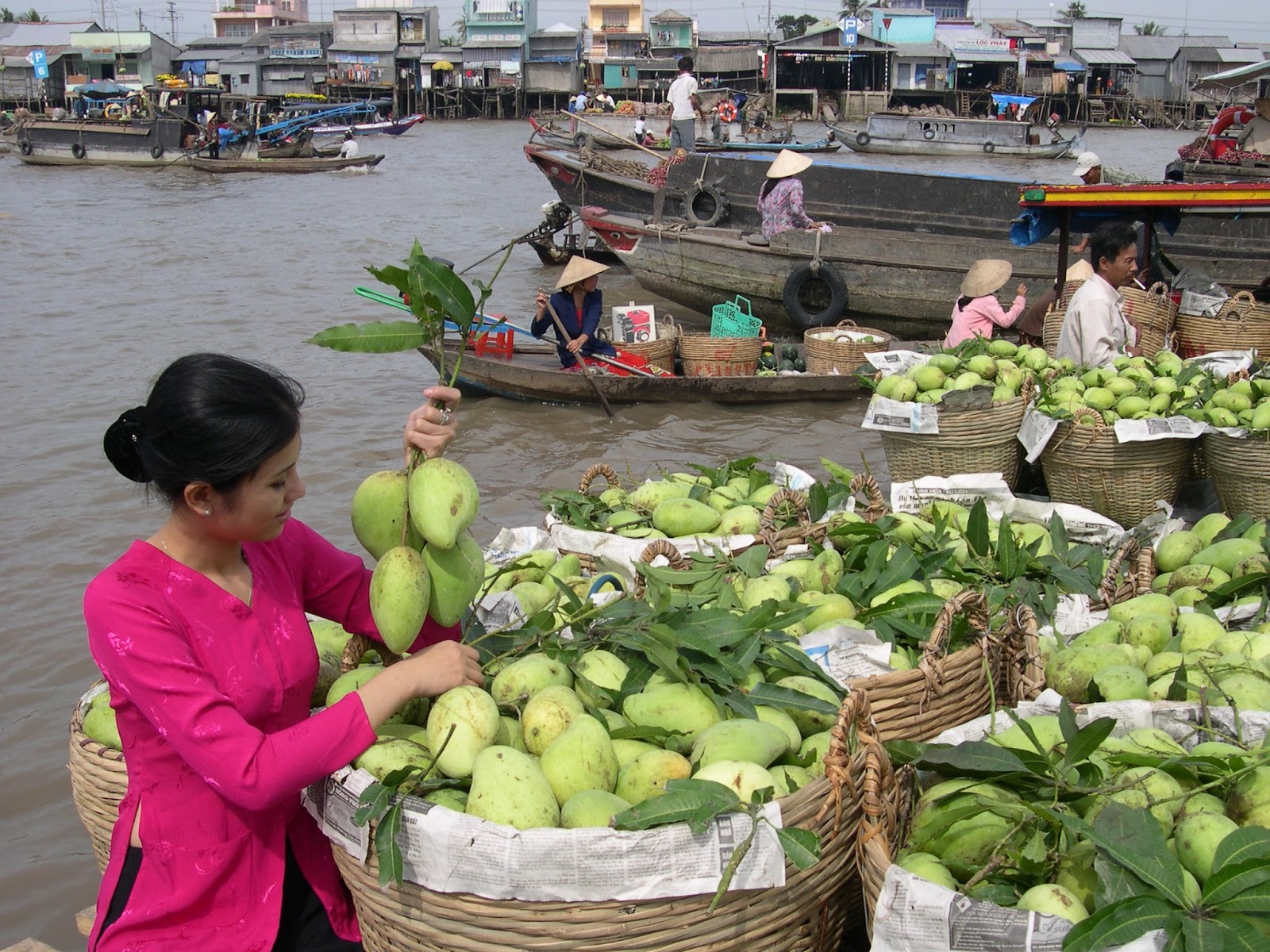 Du lịch mùa nước nổi, trải nghiệm nét đẹp lênh đênh