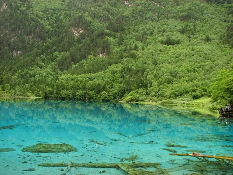 wanderlusttips-cuu-trai-cau-1