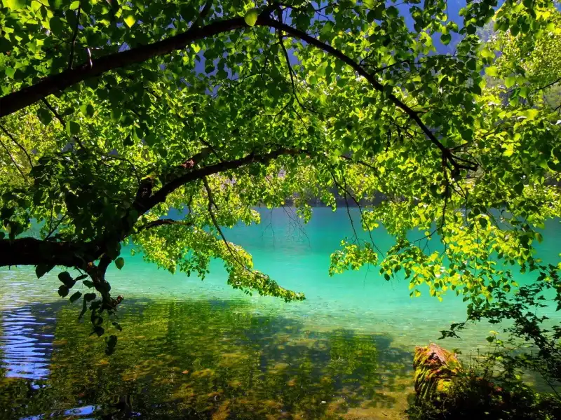 wanderlusttips-cuu-trai-cau-6