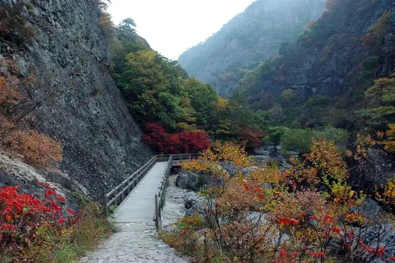 wanderlusttips-du-lich-han-quoc-la-do-1