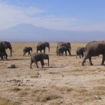 wanderlusttips kinh nghiem du lich Kenya 41