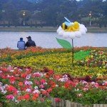 Festival Hoa da lat 2015 wanderlust