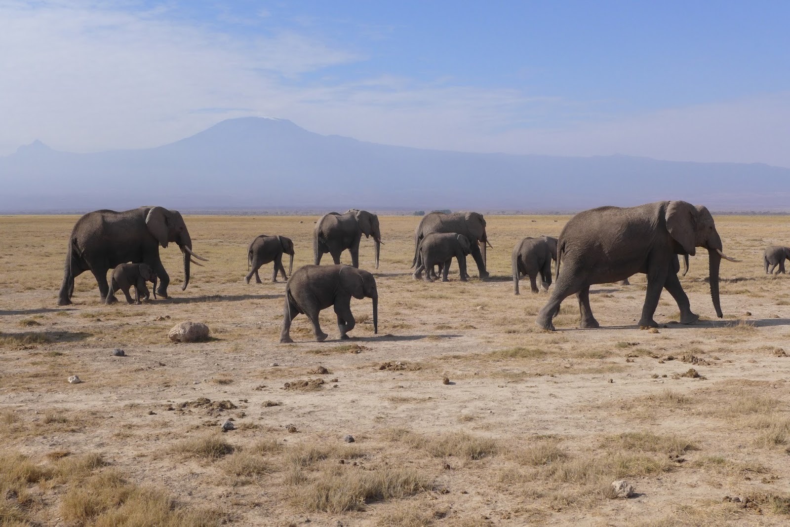 Kinh nghiệm du lịch Kenya