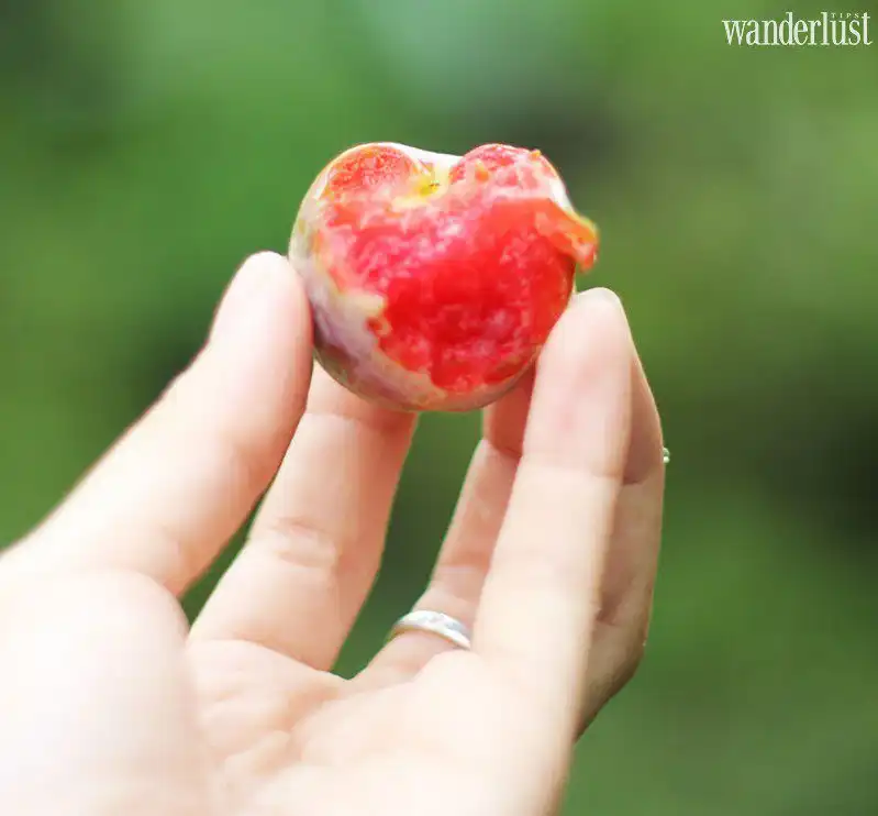 Wanderlust Tips 6 mon ngon o dat bac ha 1 e1571729417985