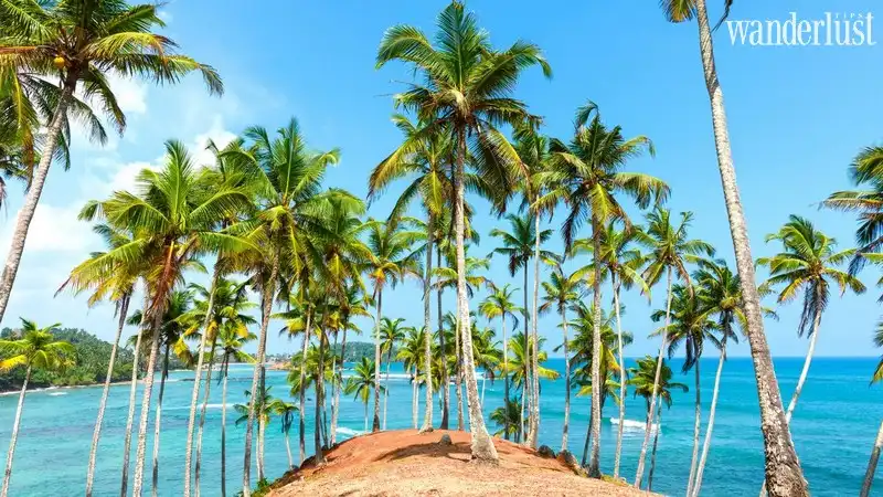 Wanderlust Tips vietrantour bung no tour du lich mua dong 01