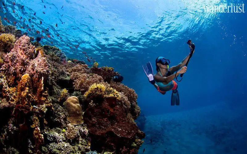 Kinh nghiệm du lịch Đông Timor 13 Tạp chí Du lịch Wanderlust Tips Kinh nghiệm du lịch Đông Timor