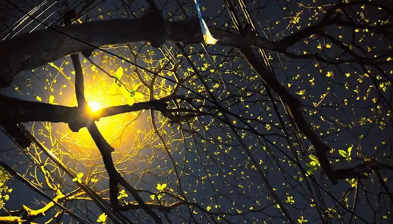 10 trải nghiệm khác lạ mùa đông Hà Nội 6 wanderlusttips-10-trai-nghiem-mua-dong-ha-noi-3