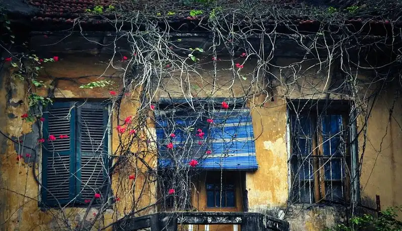 wanderlusttips-10-trai-nghiem-mua-dong-ha-noi-4
