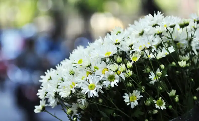 10 trải nghiệm khác lạ mùa đông Hà Nội 7 wanderlusttips-10-trai-nghiem-mua-dong-ha-noi-5