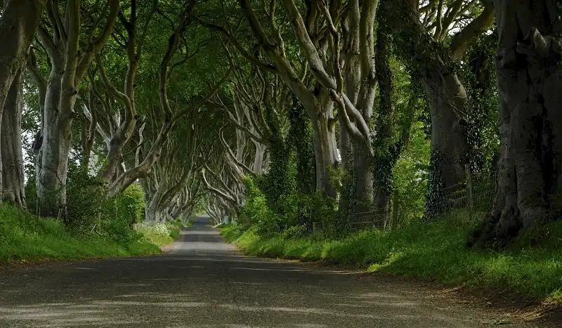 13 điểm đến tuyệt đẹp bước ra từ cổ tích 7 wanderlusttips-13-diem-den-dep-nhu-co-tich-3