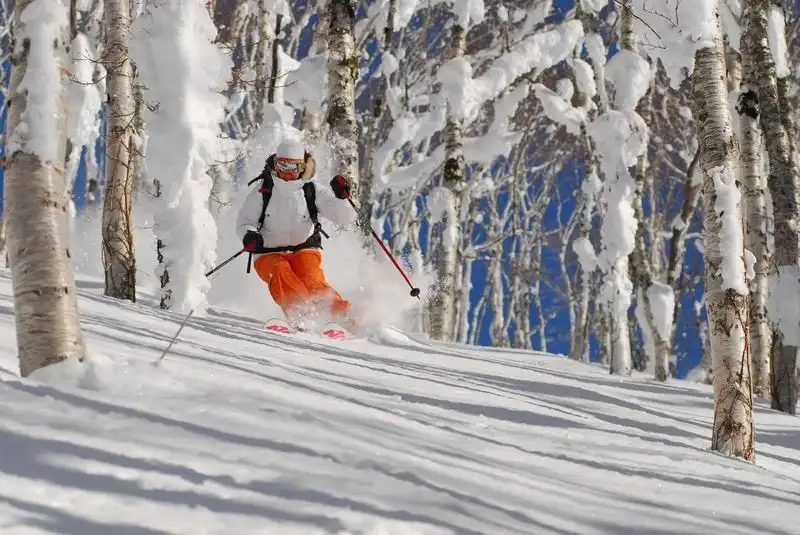 wanderlusttips-20-diem-den-trong-mo-cho-nam-2016-1