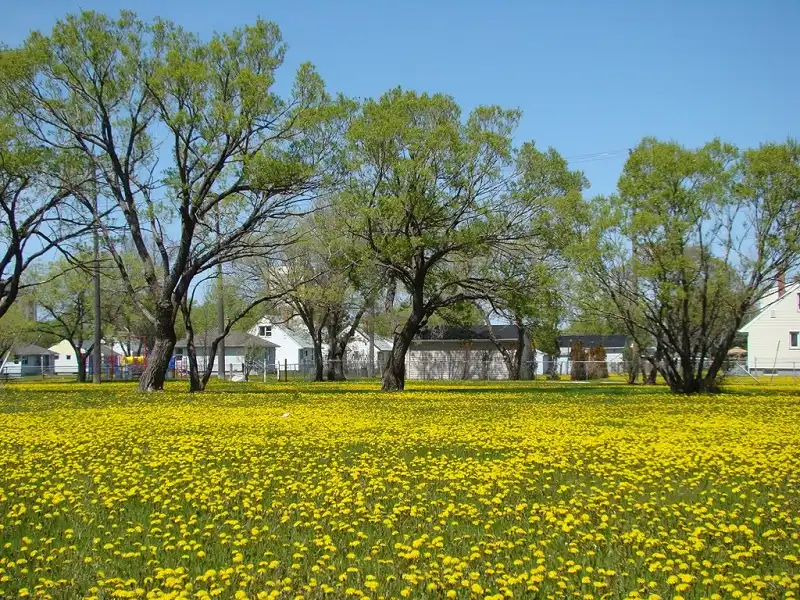 wanderlusttips-20-diem-den-trong-mo-cho-nam-2016-10