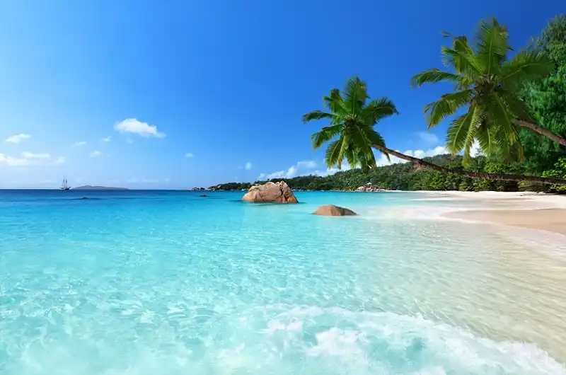 wanderlusttips-20-diem-den-trong-mo-cho-nam-2016-6