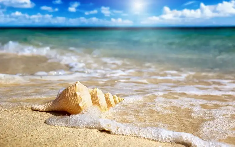 Bỏ túi kinh nghiệm du lịch Phú Quốc giá rẻ 6 wanderlusttips-9-dia-diem-khong-the-bo-khi-di-du-lich-phu-quoc-2