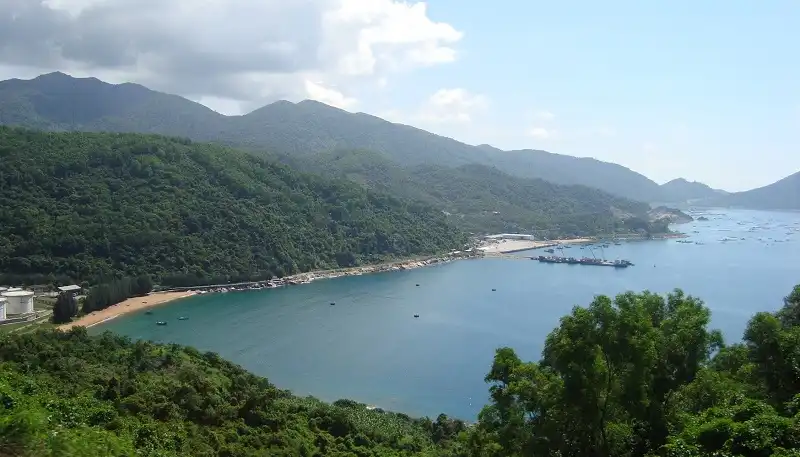 48 giờ khám phá ẩm thực xứ "hoa vàng cỏ xanh" 7 wanderlusttips-am-thuc-phu-yen-3