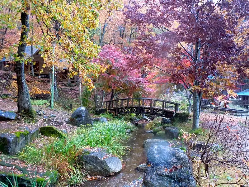 Đi tìm “cô gái mùa thu” trên cao nguyên Gifu 6 wanderlusttips-di-tim-co-gai-mua-thu-gifu-1