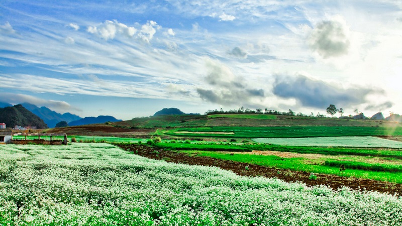 wanderlusttips dia diem du lich danh cho nguoi thich yen tinh