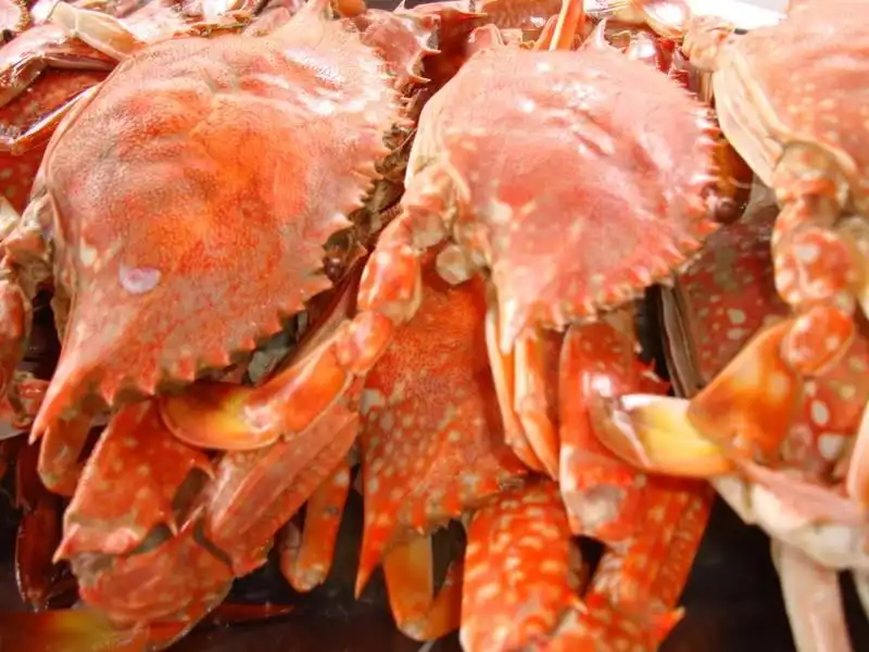 wanderlusttips-diem-mat-nhung-mon-an-ngon-nuoc-tieng-dao-ngoc-phu-quoc-1