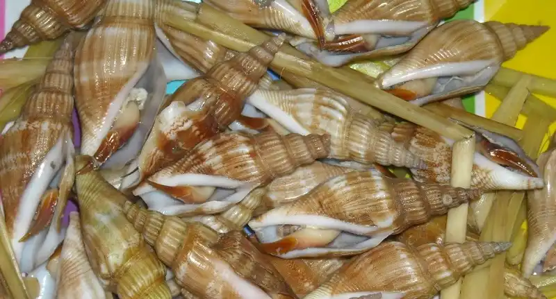 wanderlusttips-diem-mat-nhung-mon-an-ngon-nuoc-tieng-dao-ngoc-phu-quoc-3