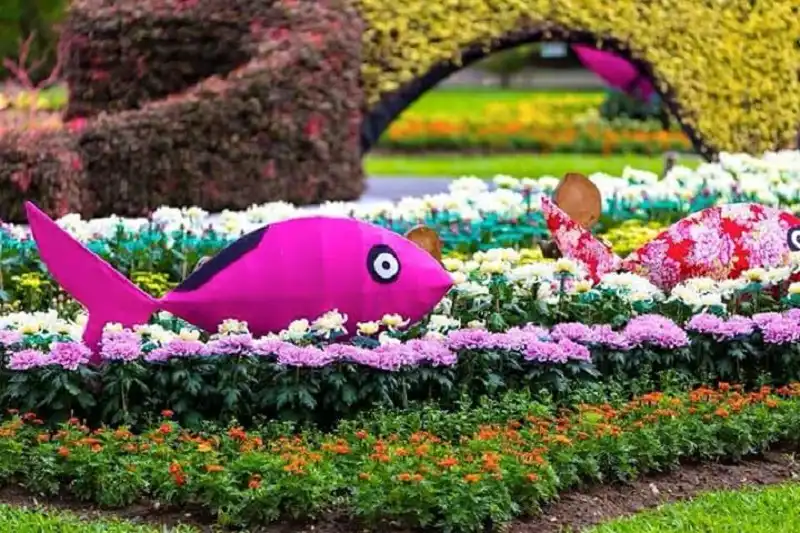 wanderlusttips-du-lich-dai-bac-2