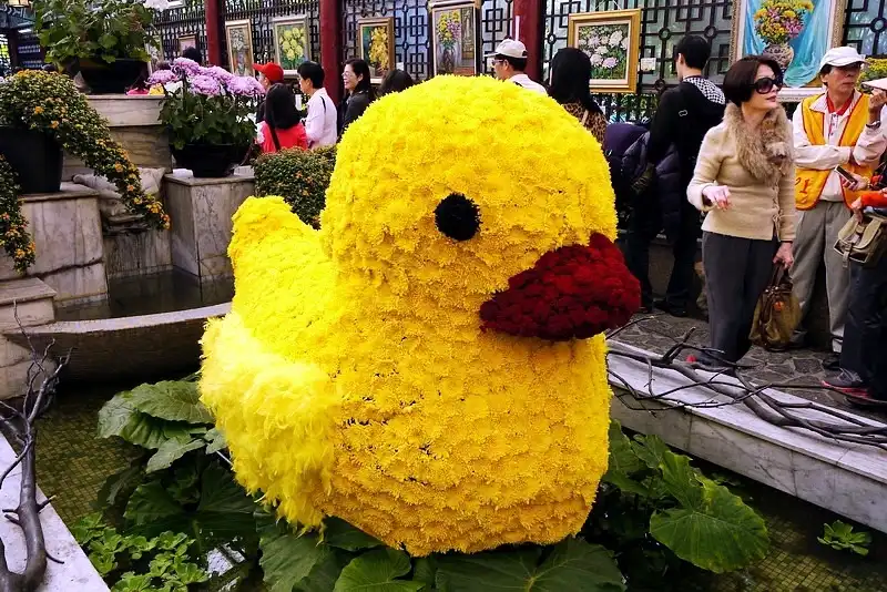 wanderlusttips-du-lich-dai-bac-3