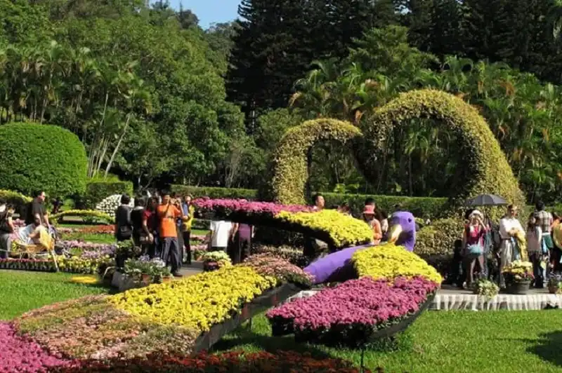 wanderlusttips-du-lich-dai-bac-6