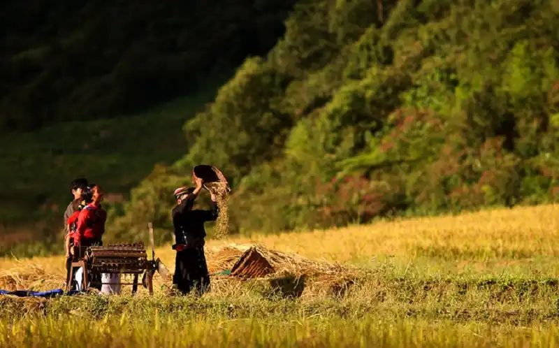 Lũng Pô - Núi sông vời vợi ngàn trùng 5 wanderlusttips-du-lich-lung-po-1