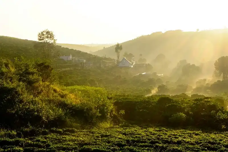 wanderlusttips-du-lich-tet-2