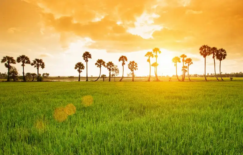 wanderlusttips-du-lich-tet-4