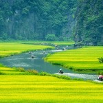 wanderlusttips kinh nghiem dl tam coc