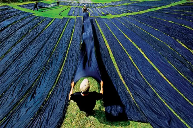 Ghé thăm làng lụa truyền thống ở Tân Châu, An Giang 7 wanderlusttips-lua-tan-chau3