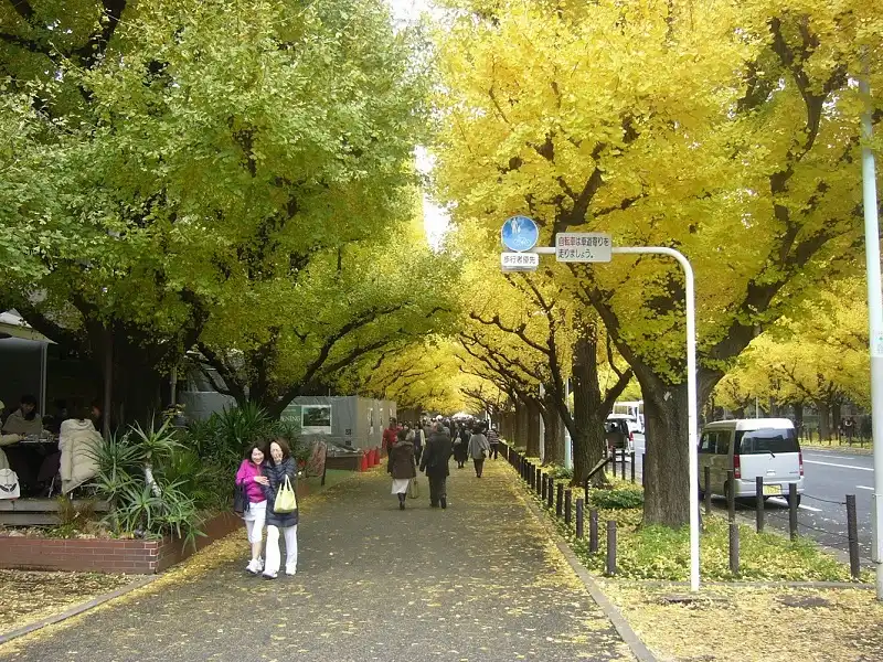 6 điểm ngắm "momiji" đẹp nhất xứ Phù Tang 7 wanderlusttips-nhat-ban-2