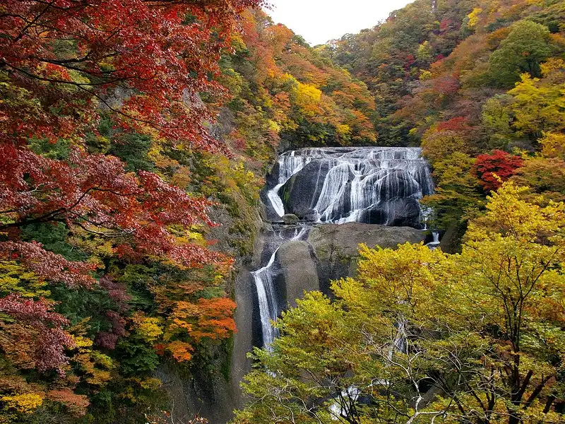 6 điểm ngắm "momiji" đẹp nhất xứ Phù Tang 10 wanderlusttips-nhat-ban-5