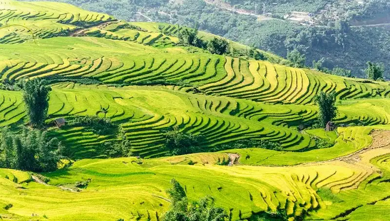 wanderlusttips- sac-mau-y-ty-2