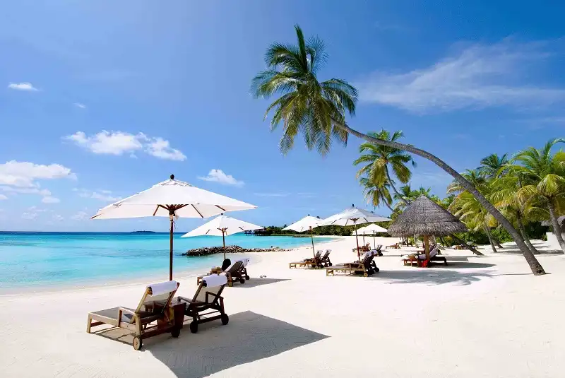 wanderlusttips-viet-nam-lot-top-9-diem-den-ly-tuong-don-nang-mua-dong
