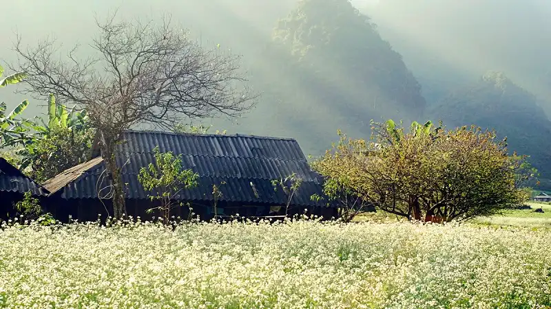 10 điểm săn ảnh mùa thu phương Bắc 7 wanderlusttips-10-diem-phuong-bac-2