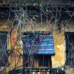 wanderlusttips 10 trai nghiem mua dong ha noi 4