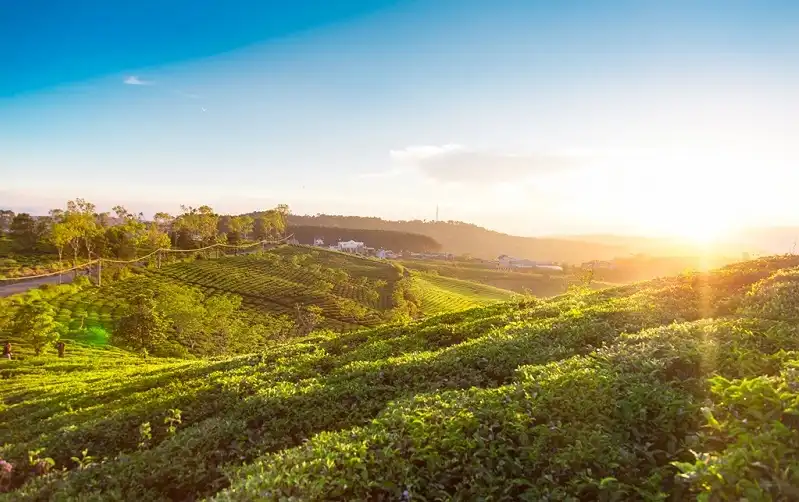 wanderlusttips-5-doi-che-dep-nhat-viet-nam-3