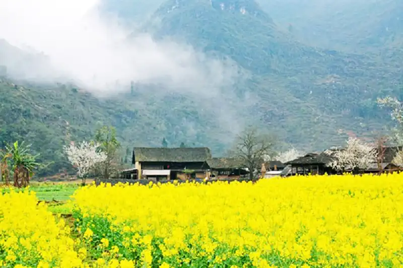 wanderlusttips-cao-nguyen-da-bac-ha-3