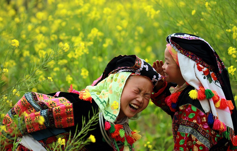 Cao nguyên đá Đồng Văn sáng bừng sức sống