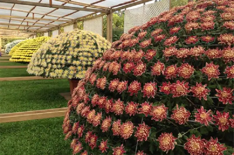 wanderlusttips-du-lich-dai-bac-4