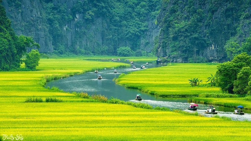 Kinh nghiệm du lịch Tam Cốc